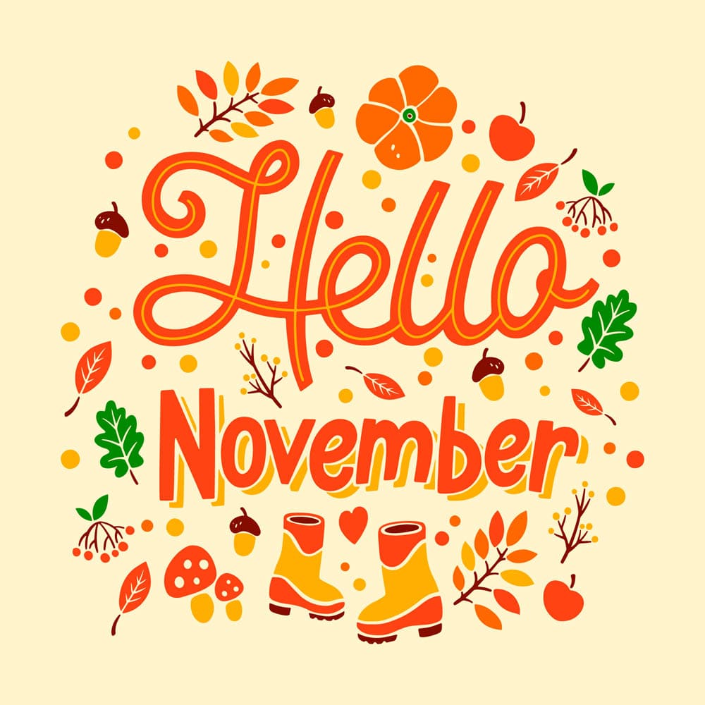 Hello Nov Hello Nov