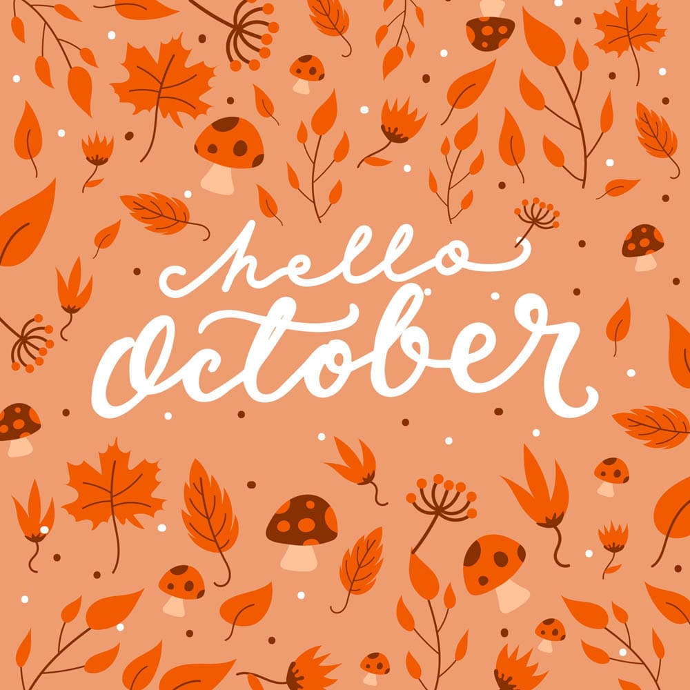Hello Oct Hello Oct
