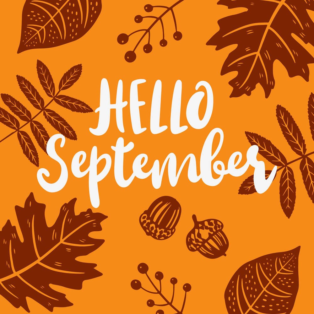 Hello September Hello September